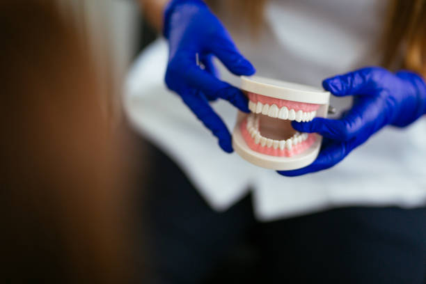 Why Choose Us for Your Dental Needs in New Haven, MI